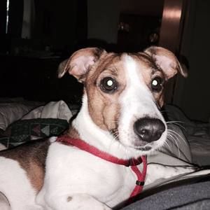 Meet your Posher, Jim